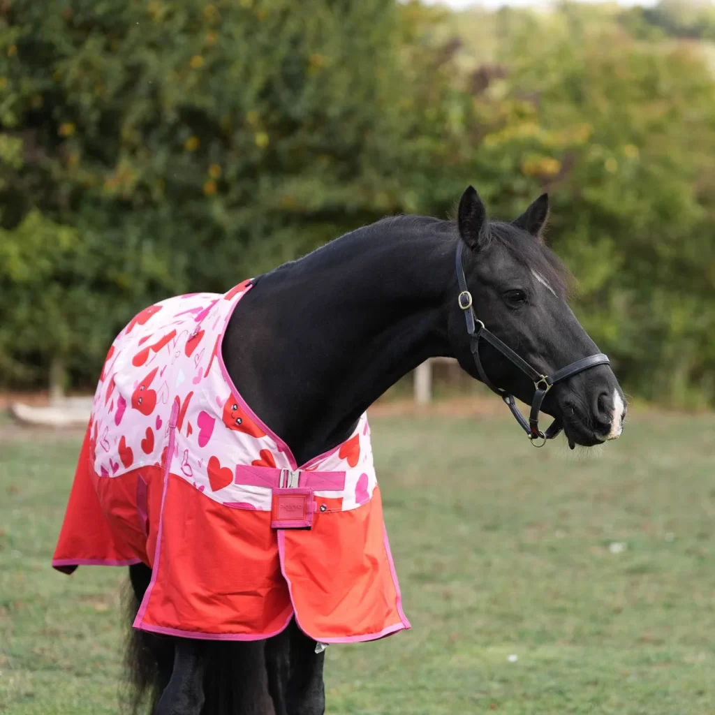 Caballo con la manta Sweetheart de Ponyo Horsewear, estampado ilustrado por Ingrid Luque