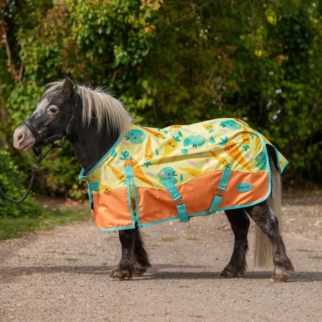 Poni Shetland con la manta Snack Time de Ponyo Horsewear, estampado ilustrado por Ingrid Luque
